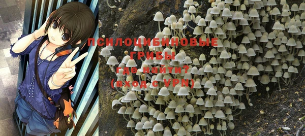 прущая мука Баксан
