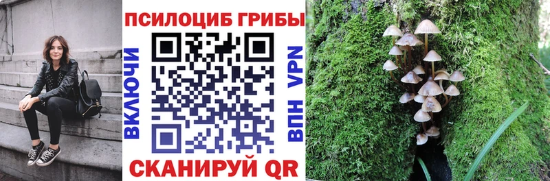 Галлюциногенные грибы мицелий  гидра ссылки  Юрюзань  где купить наркоту 
